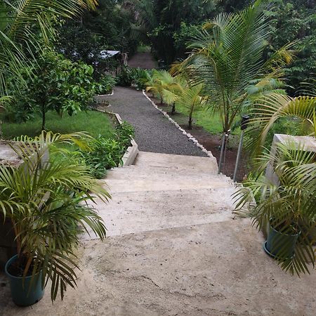 House In The Palm Forest Apartment Puerto Carrillo Exterior photo