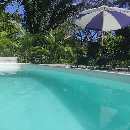 House In The Palm Forest Apartment Puerto Carrillo Exterior photo