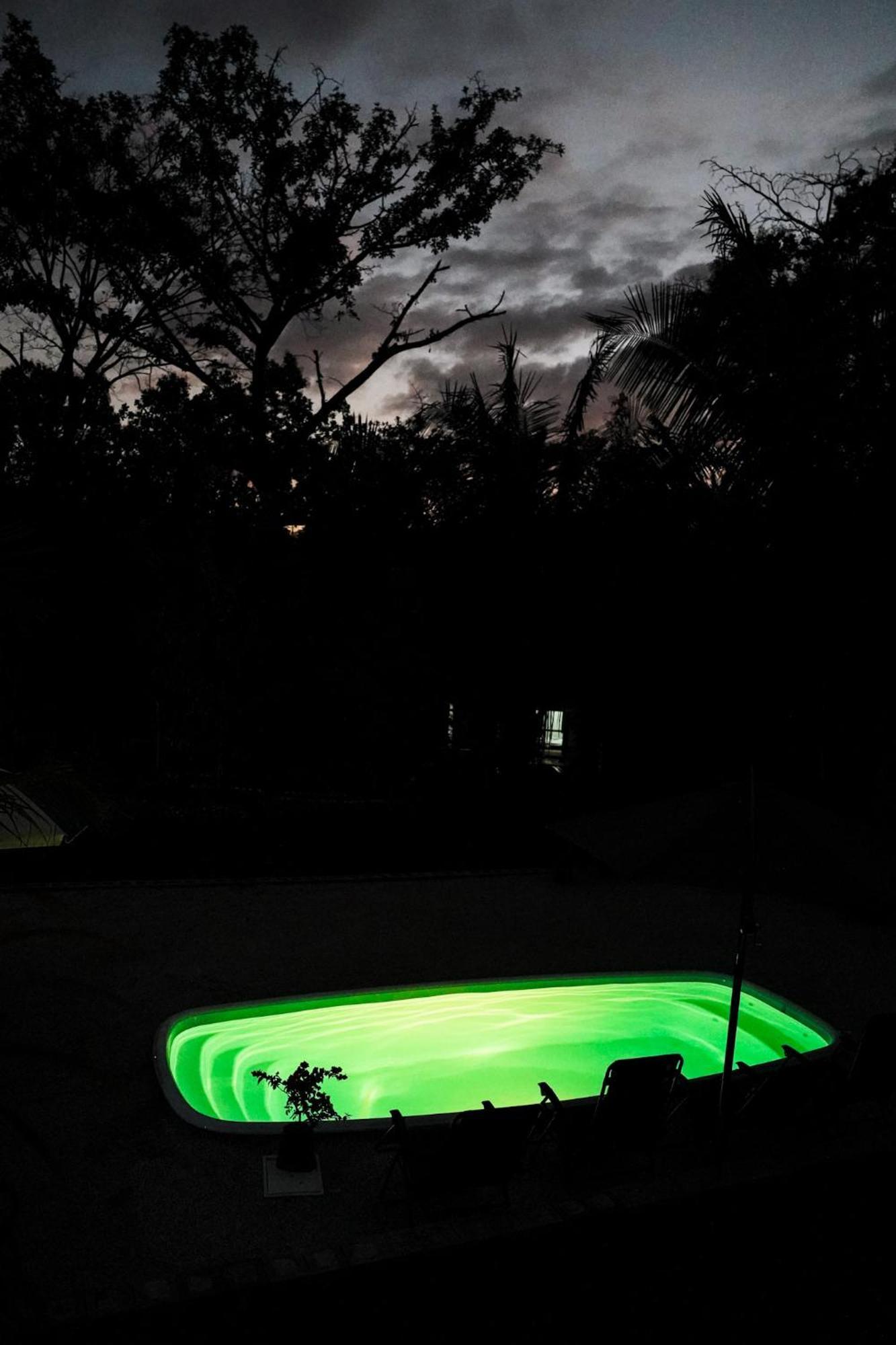 House In The Palm Forest Puerto Carrillo Exterior photo