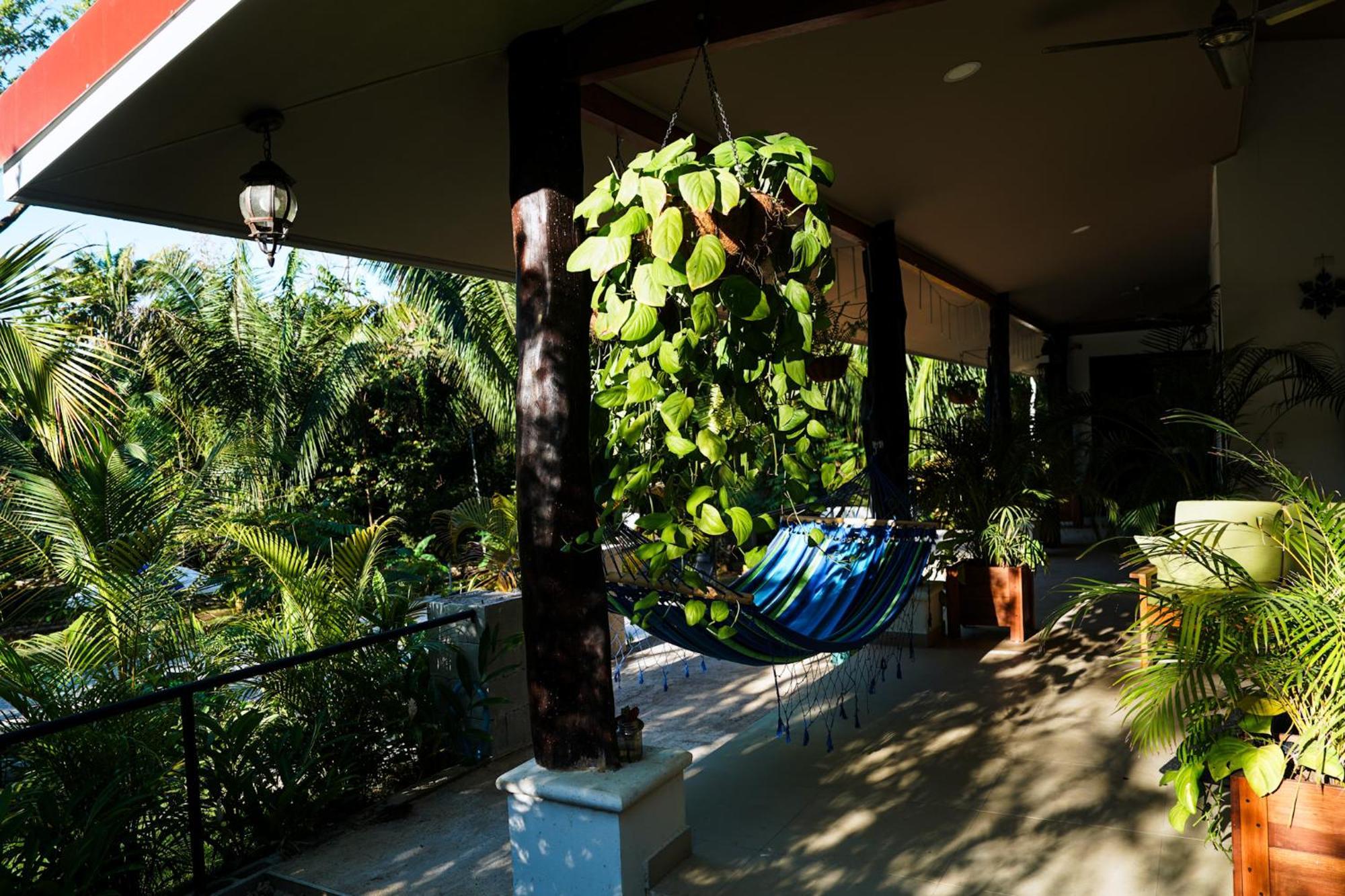 House In The Palm Forest Puerto Carrillo Exterior photo