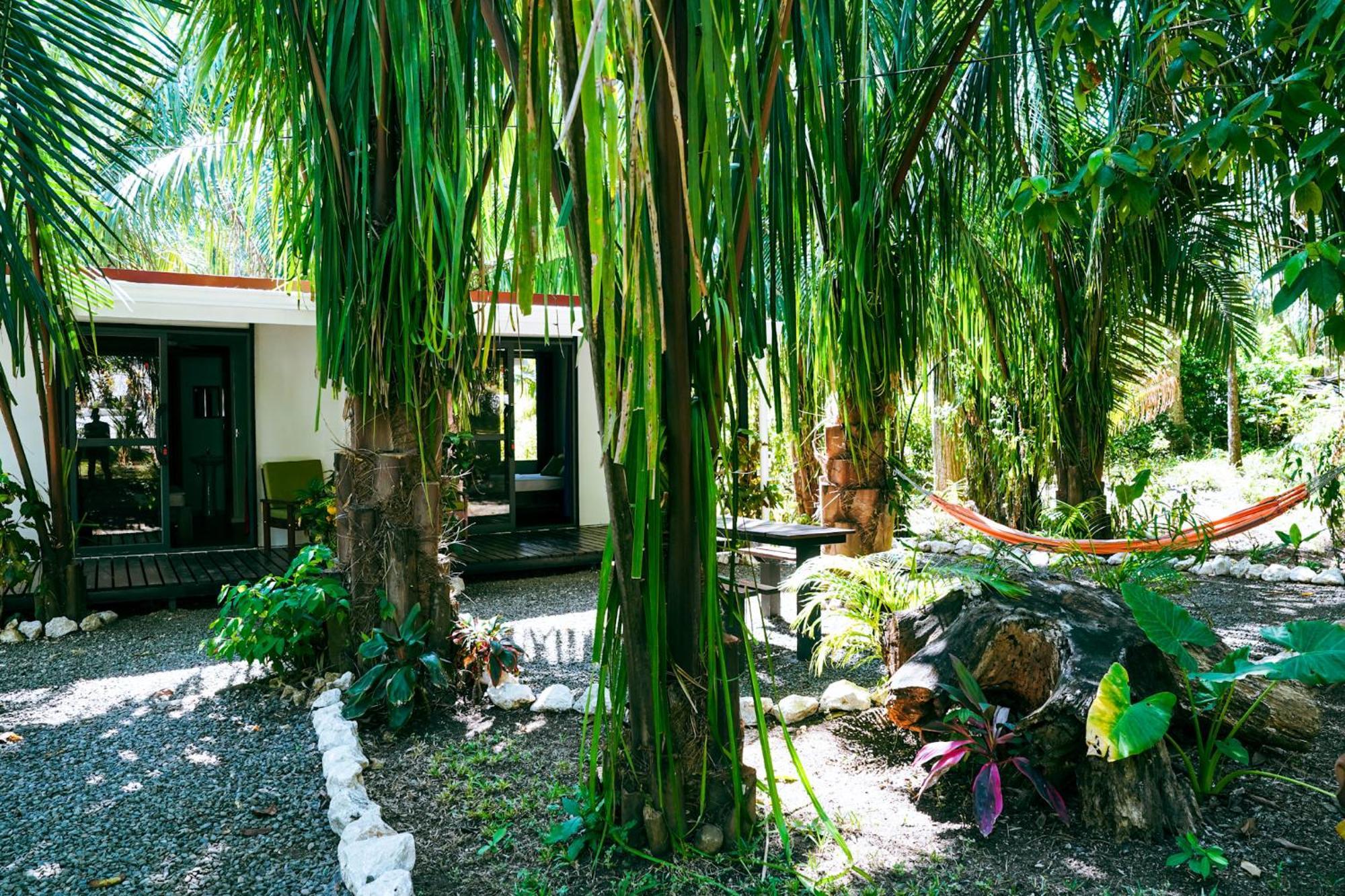 House In The Palm Forest Apartment Puerto Carrillo Exterior photo